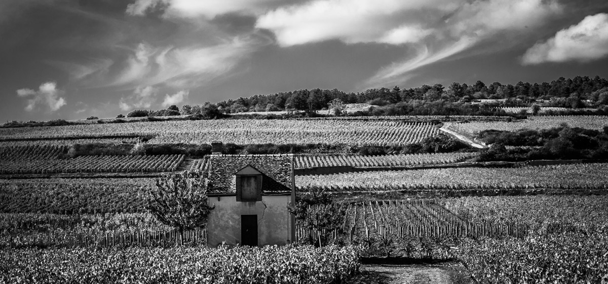 Beaujolais