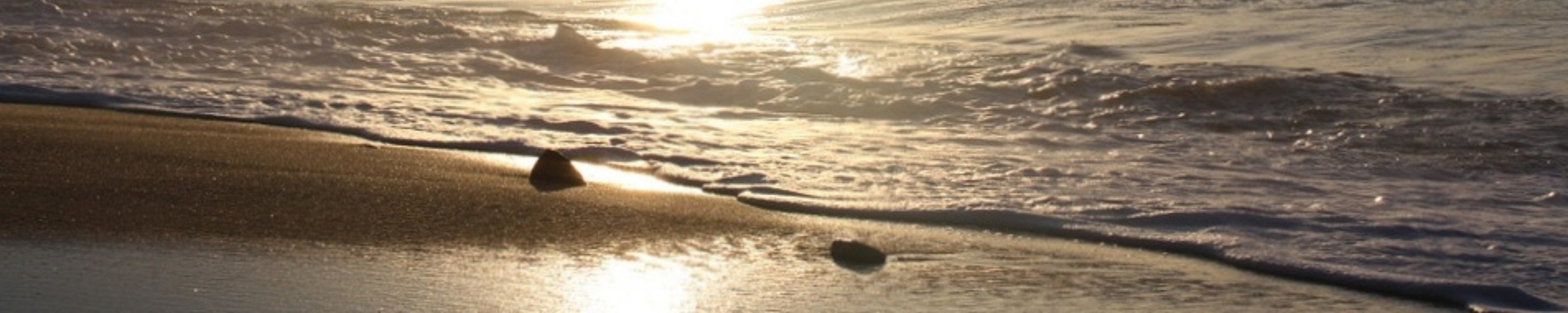 ré-ouverture de l&rsquo;agence de voiture avec chauffeur de Biarritz