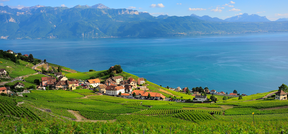 Lausanne: Lakeside Charm and Olympic Spirit