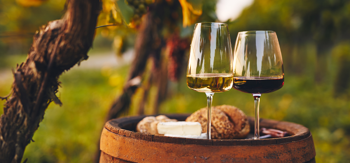 Margaux & The Spirit of the Médoc