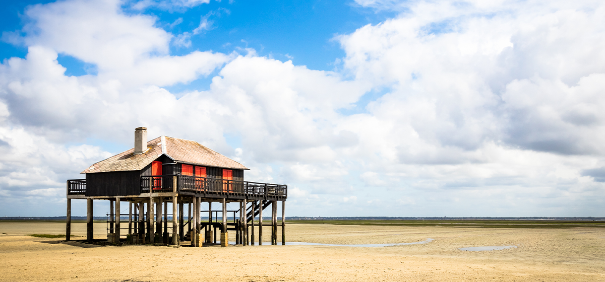 Bassin d’Arcachon & Boat Tour: A Coastal Nature Escape