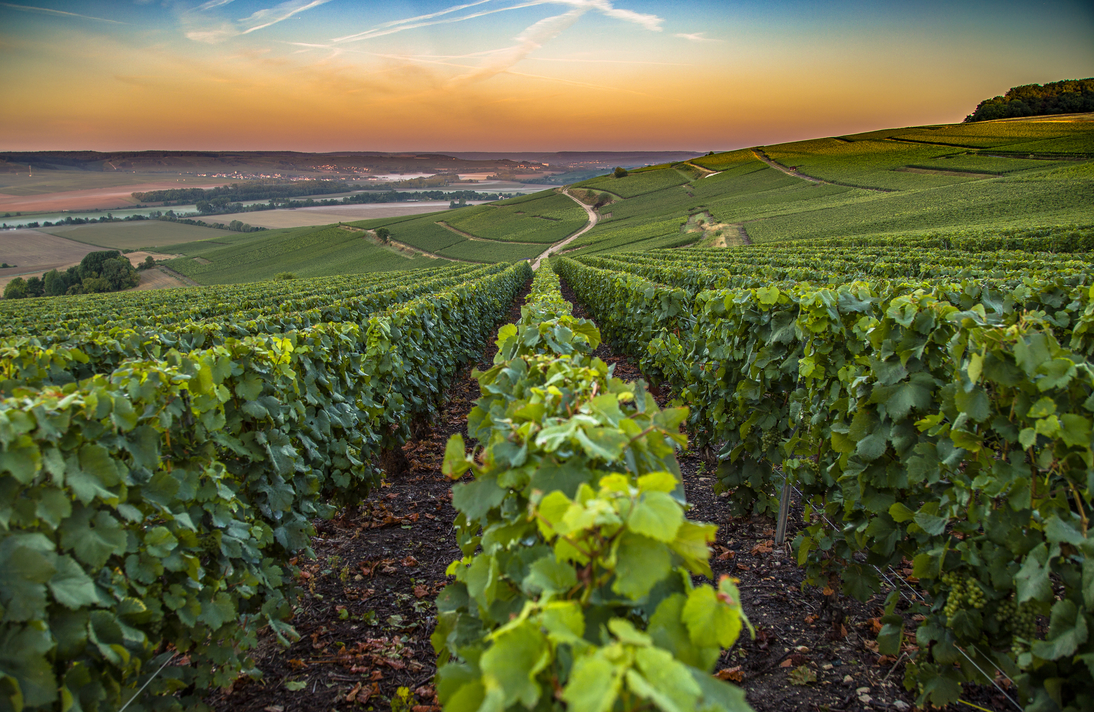 chabe-journee-touristique-champagne