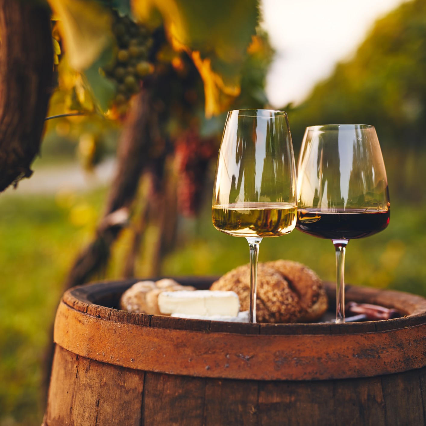 Transport pour la semaine des primeurs à Bordeaux